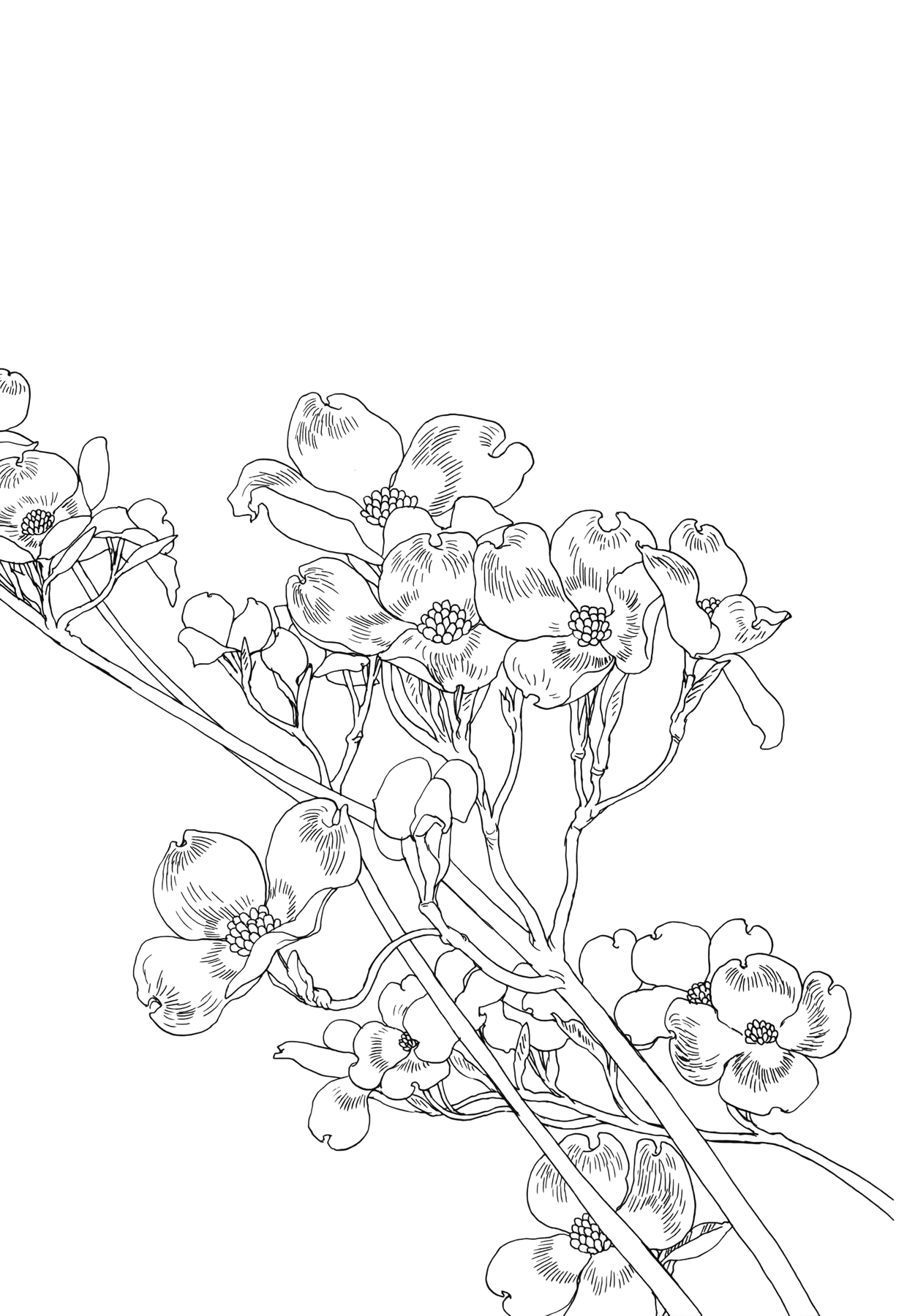 The Land Is a Garden in Your Pocket The Garden of May 第27页