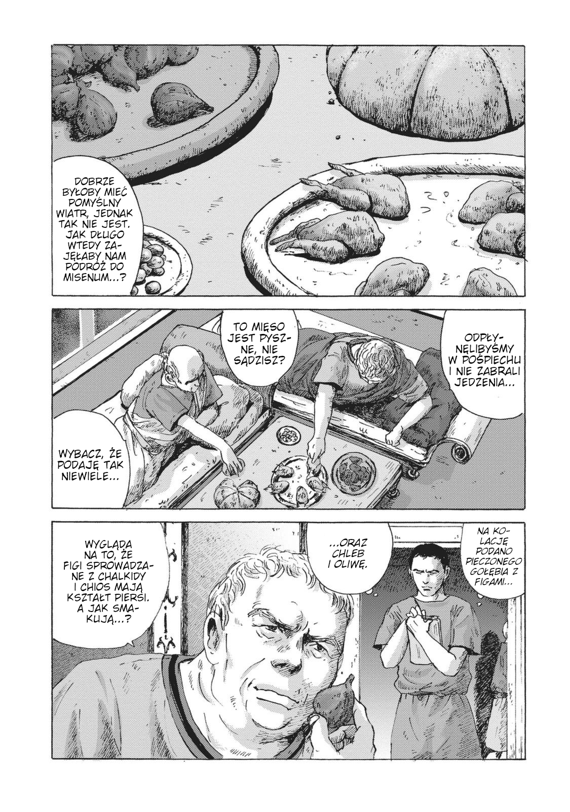 Plinivs Wezuwiusz 第26页