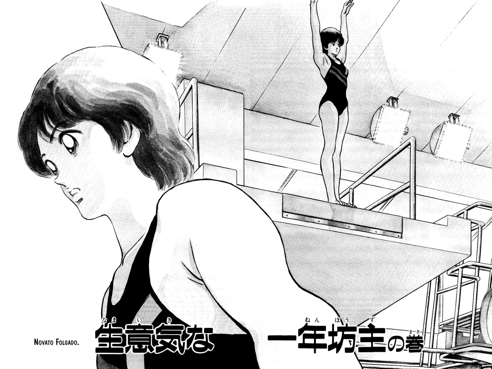 Rough Novato Folgado 第7页
