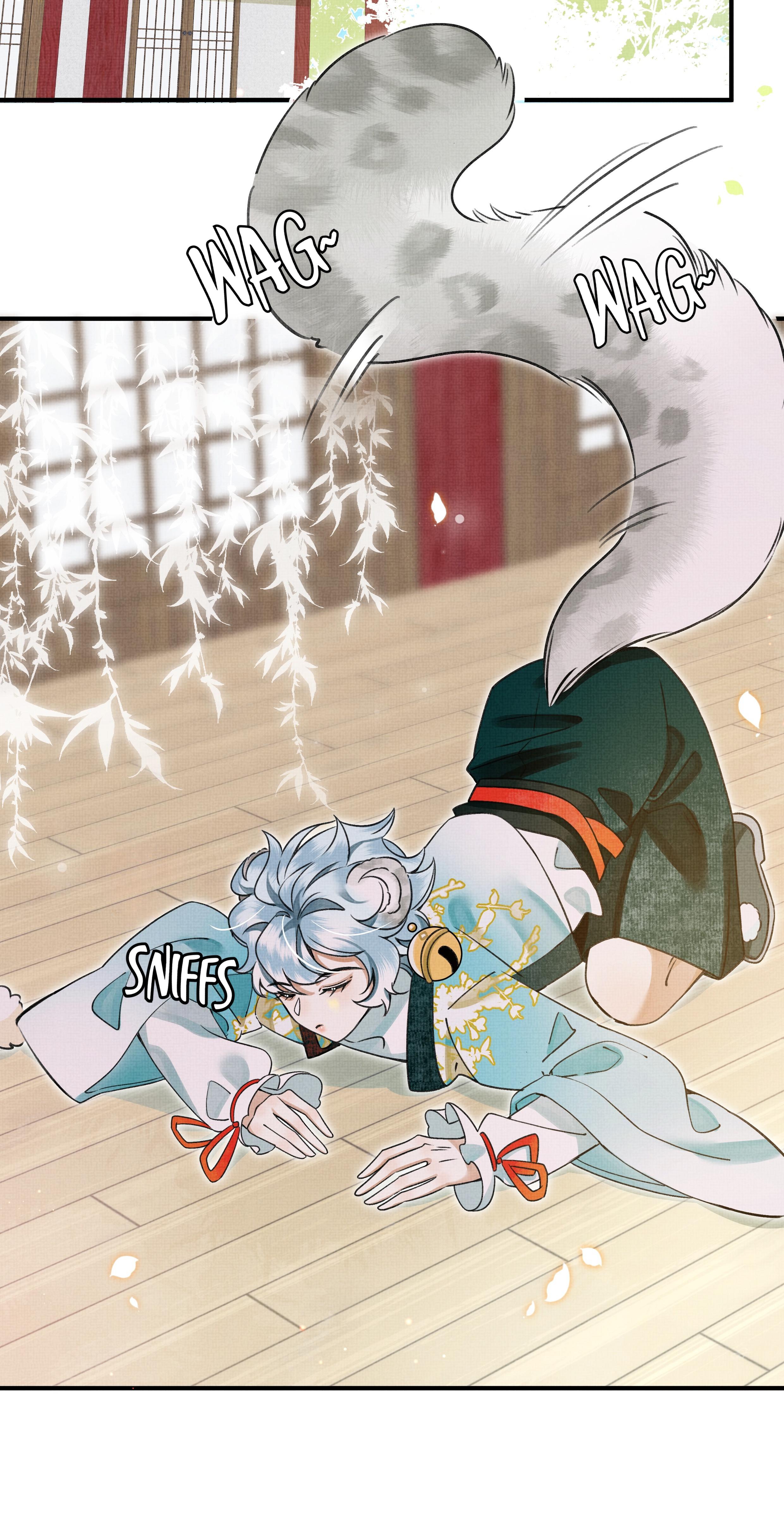 The Tail and Tale of a Snow Leopard A Memorable Face 第12页