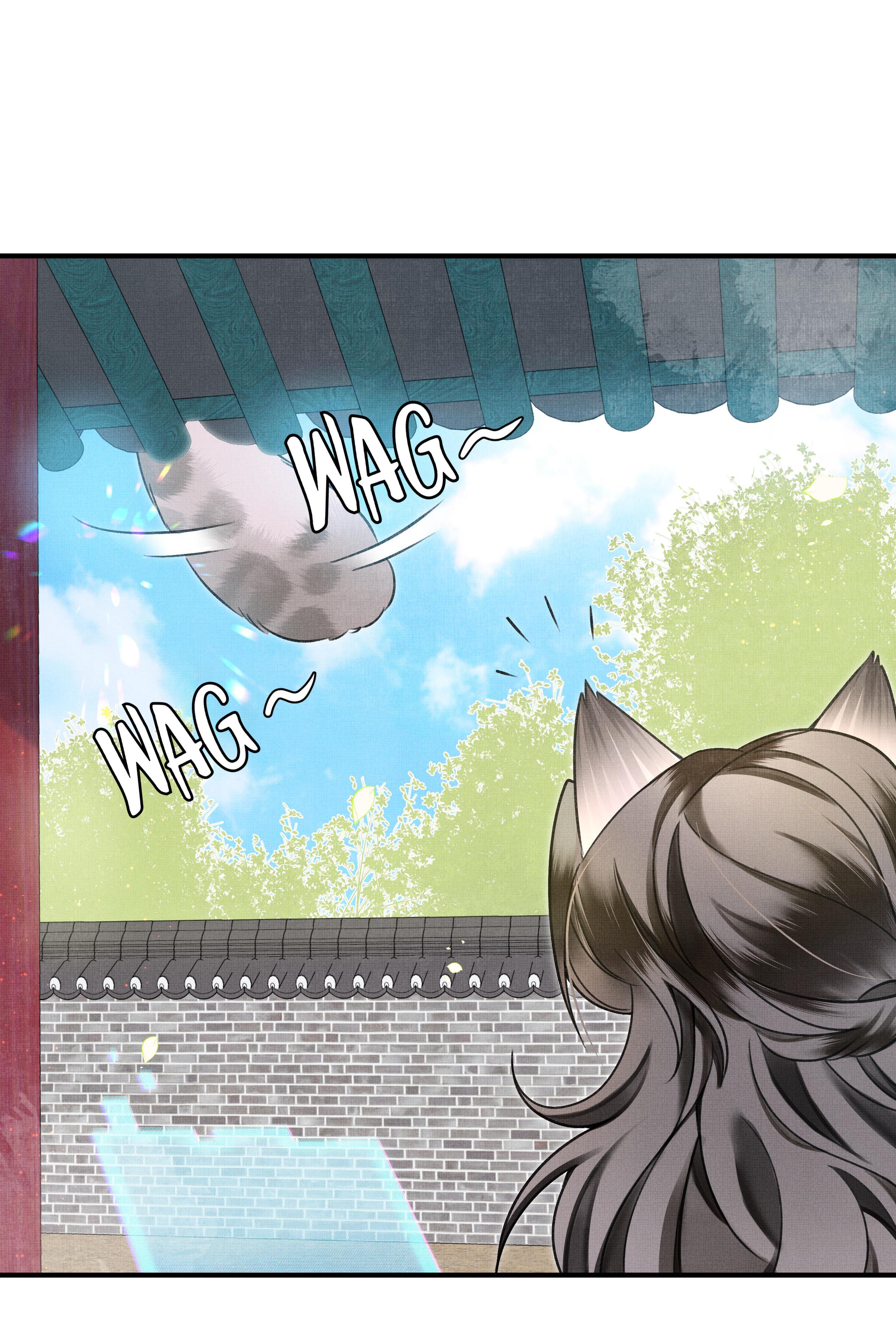 The Tail and Tale of a Snow Leopard A Memorable Face 第27页