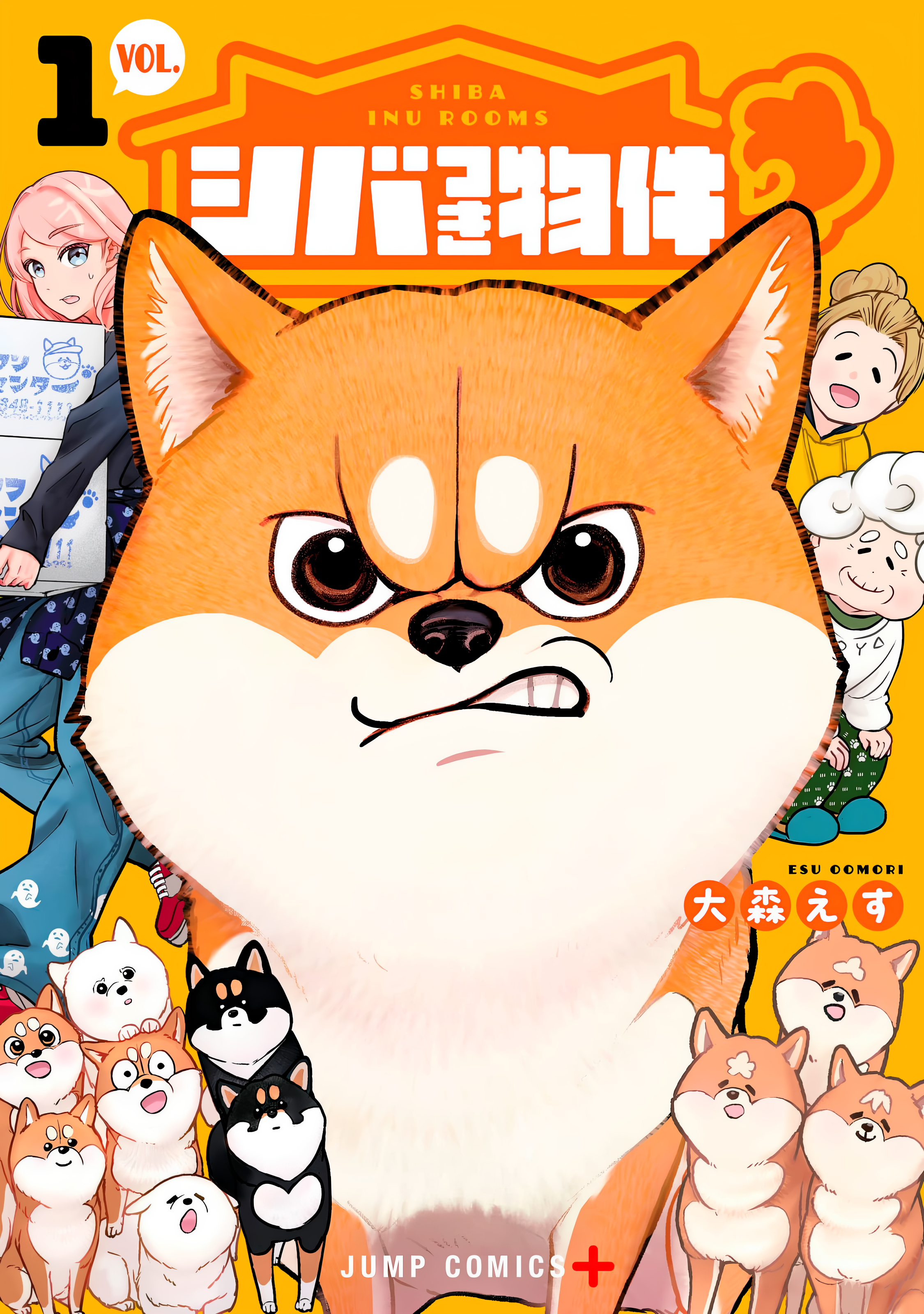 Shiba Inu Rooms 第2页