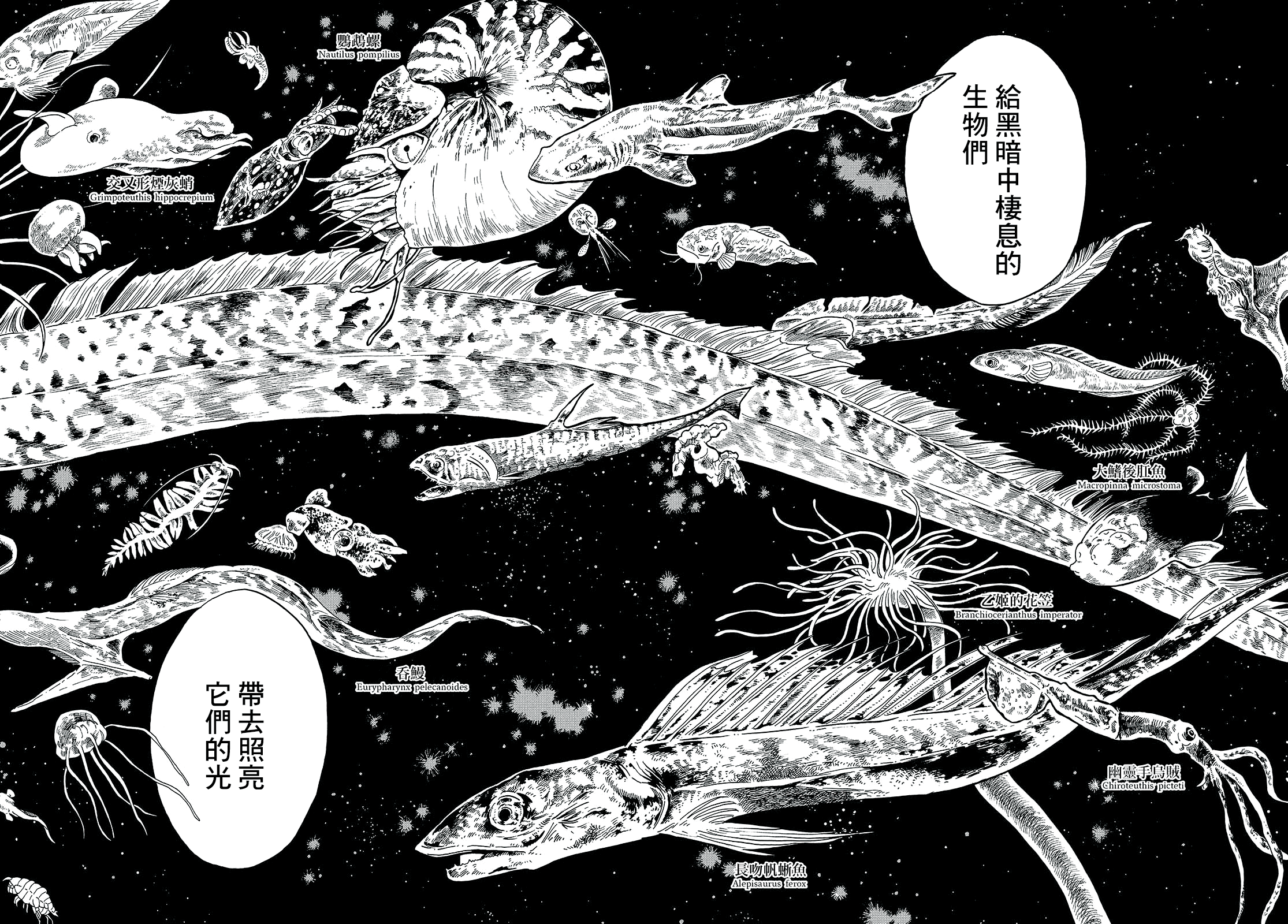 Magmell Shinkai Suizokukan 巨烏賊 第13页