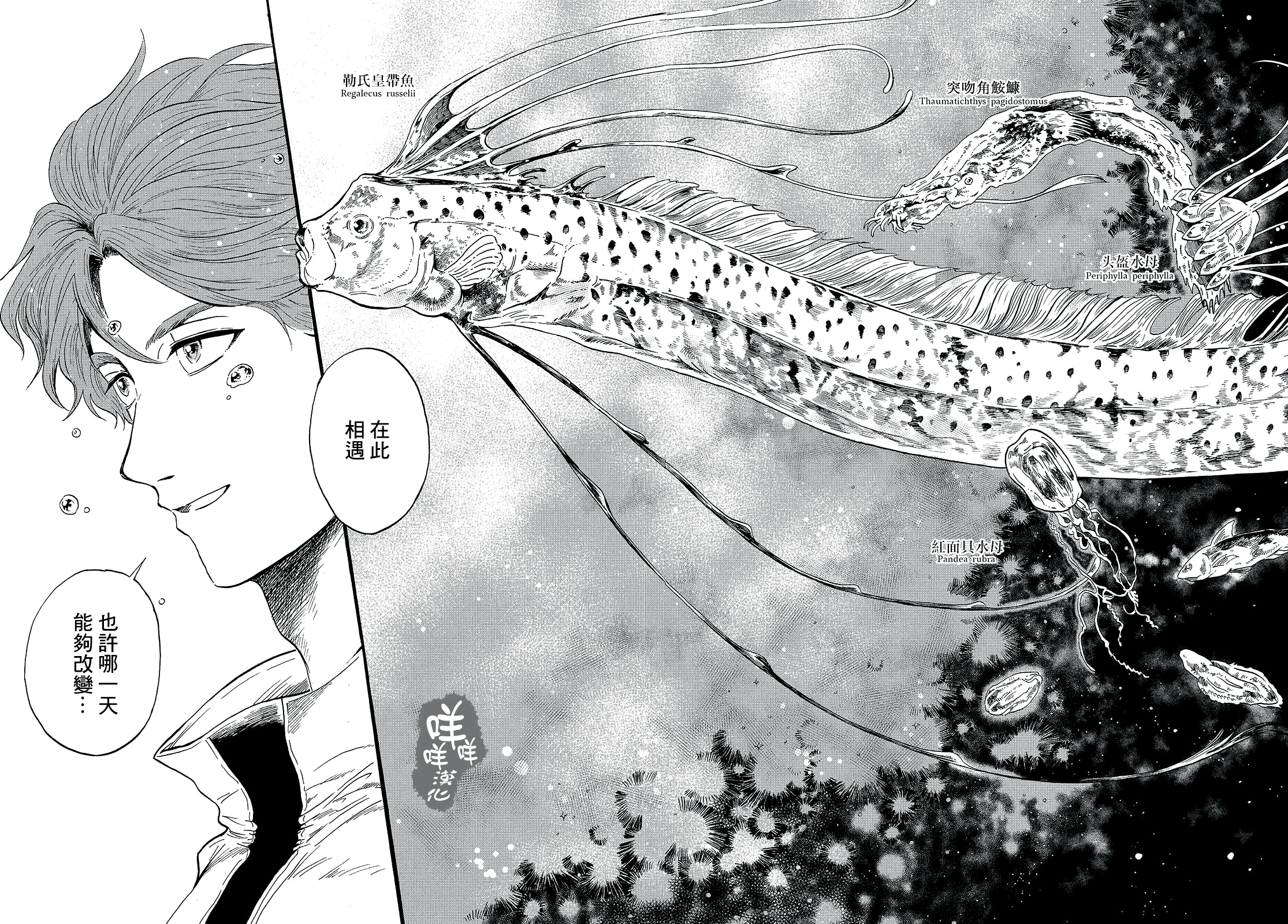 Magmell Shinkai Suizokukan 巨烏賊 第14页