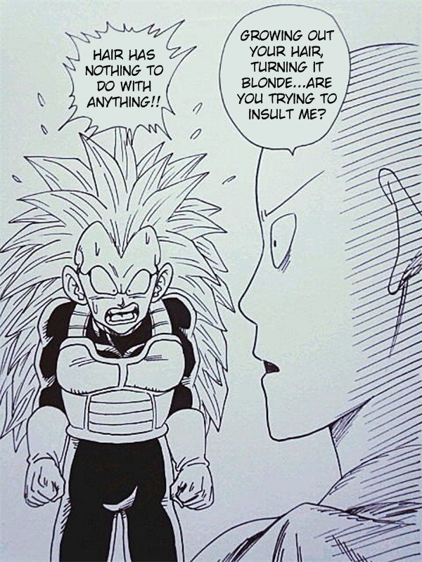 DB X Saitama Omake 第3页