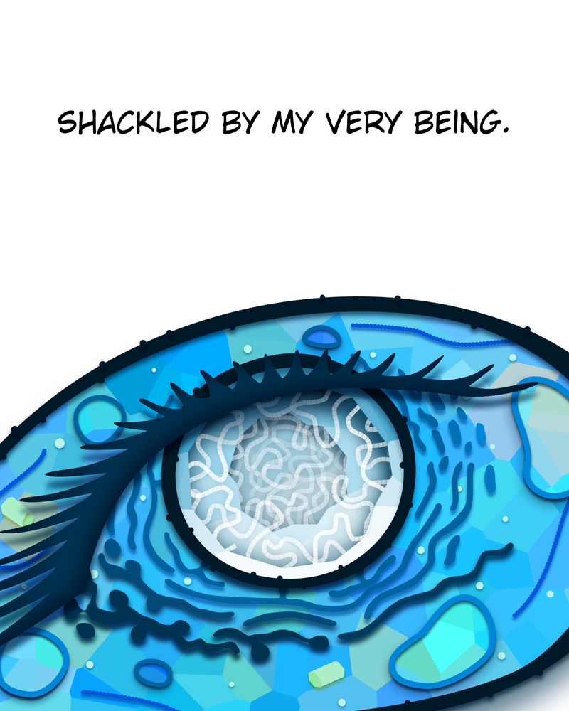 The Powerhouse of the Cell Mitosis (1/3) 第21页