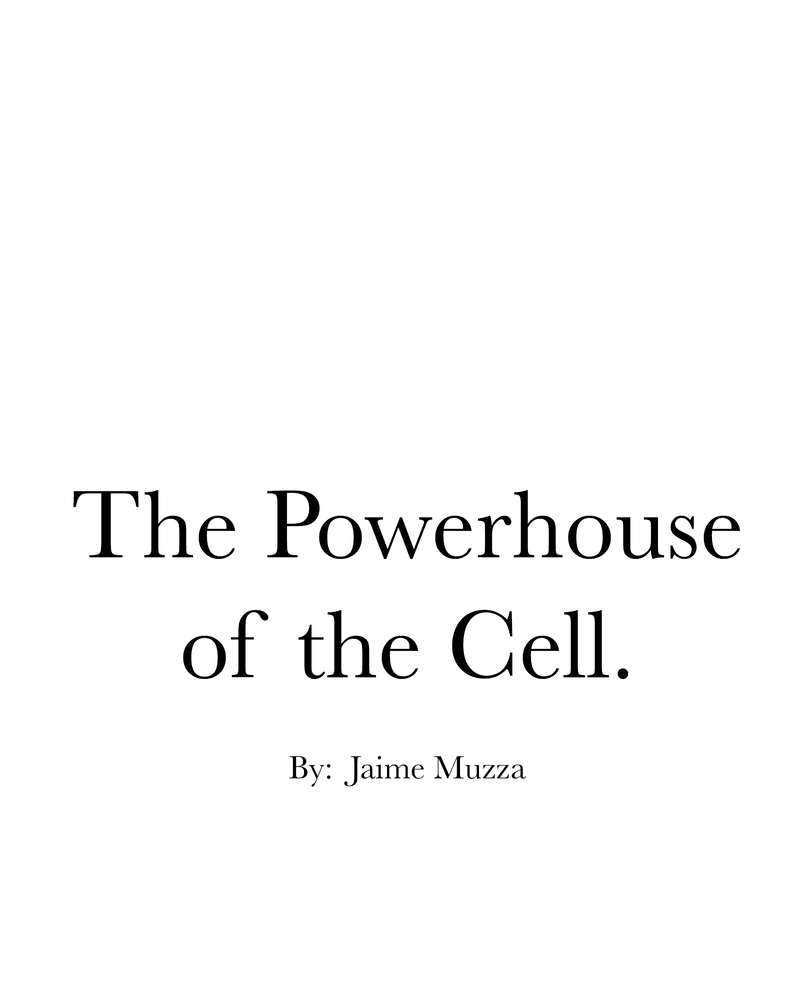 The Powerhouse of the Cell Mitosis (1/3) 第82页