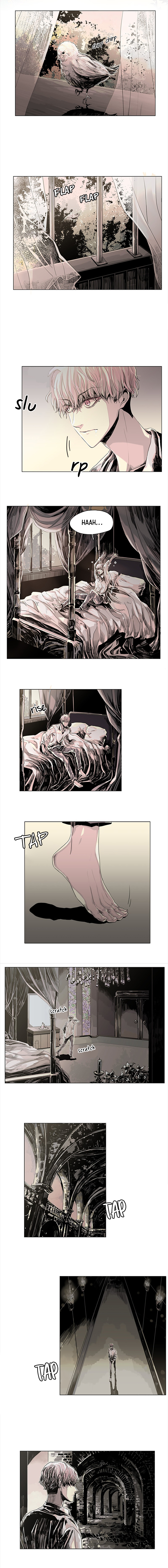 Glotoneria She Also Has Red Hair? 第8页