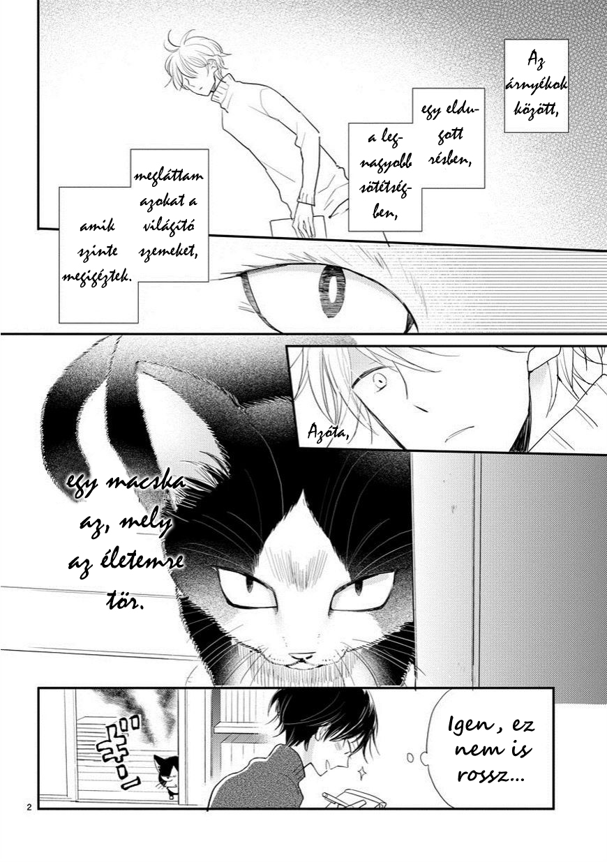 My Roommate Is a Cat Találkozás az ismeretlennel 第2页