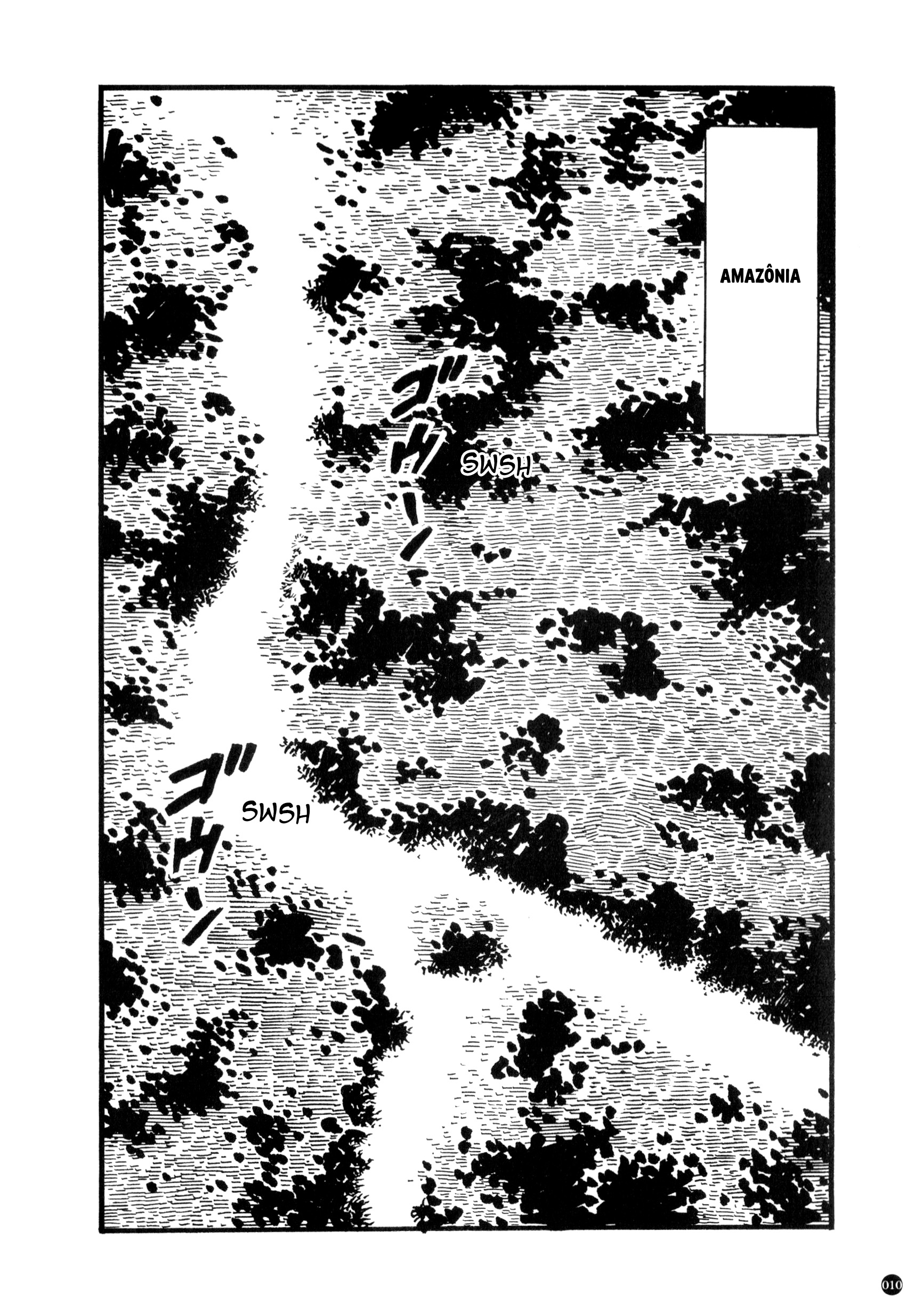 Kamen Rider ZX (Versão de Yuuji Hosoi) Capítulo 1: O nascimento do décimo Rider! 第12页