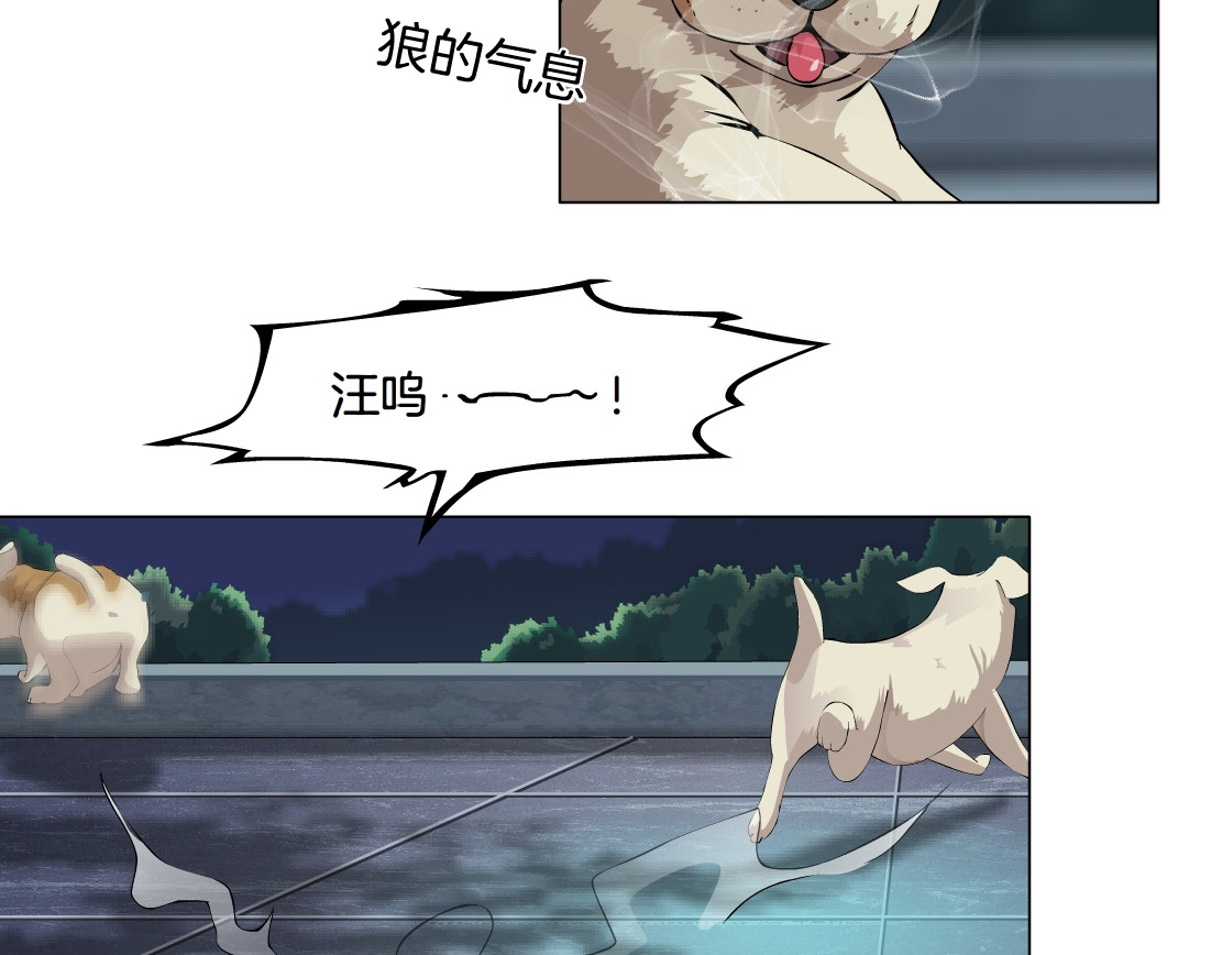 X界美男图鉴 第4话 姐姐的不幸 第57页