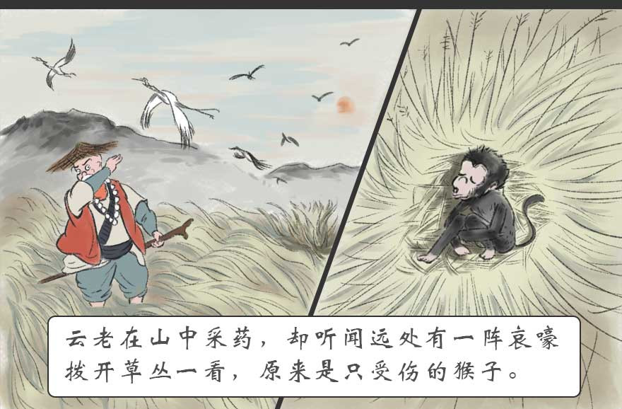 云老说 故事的开篇 第15页