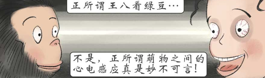 云老说 小白的美丽邂逅 第7页