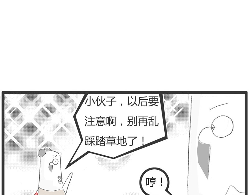 火锅家族第一季  刻舟求剑 第34页