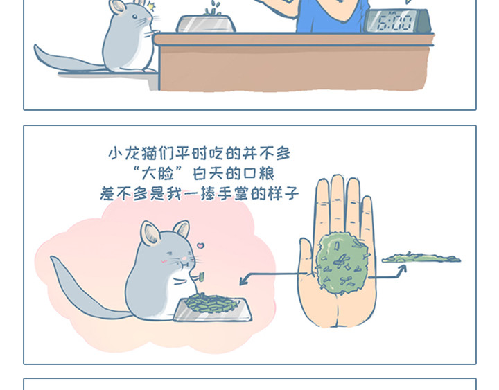 我家有只小龙猫 第1个小故事集合 第19页