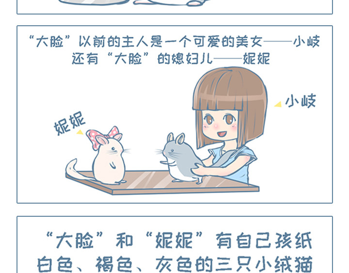 我家有只小龙猫 第3页