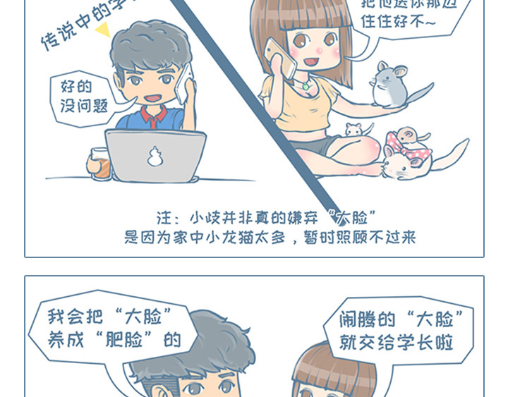 我家有只小龙猫 第5页