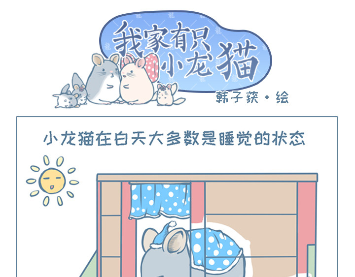 我家有只小龙猫 第1个小故事集合 第10页