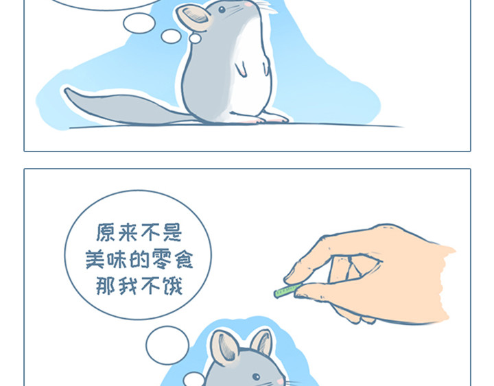 我家有只小龙猫 第2个小故事集合 第2页