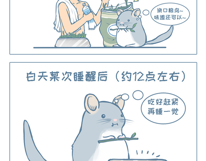 我家有只小龙猫 第2个小故事集合 第12页