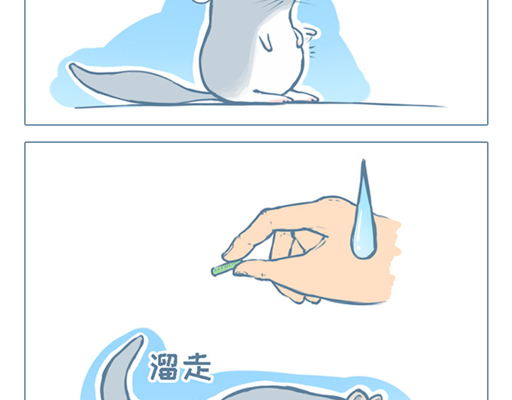 我家有只小龙猫 第2个小故事集合 第3页