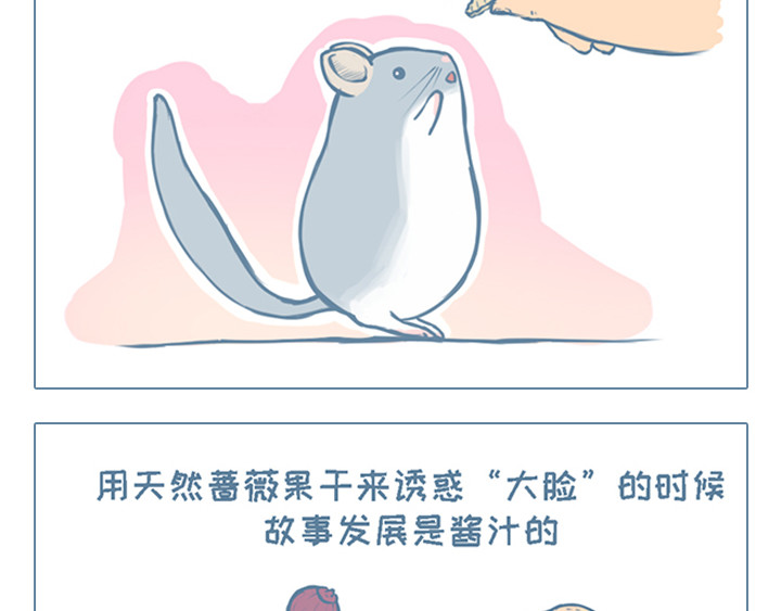 我家有只小龙猫 第2个小故事集合 第6页