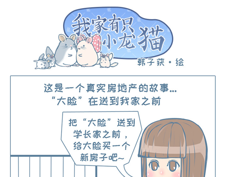 我家有只小龙猫 第3个小故事集合 第13页