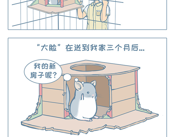 我家有只小龙猫 第3个小故事集合 第15页