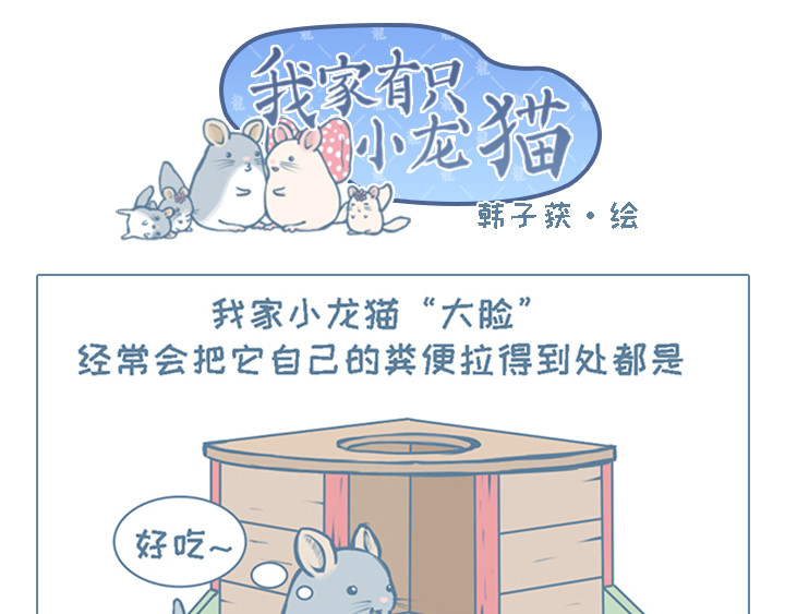 我家有只小龙猫 第3个小故事集合 第17页