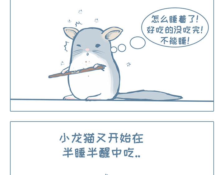 我家有只小龙猫 第3个小故事集合 第5页