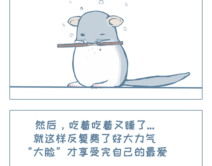 我家有只小龙猫 第3个小故事集合 第6页