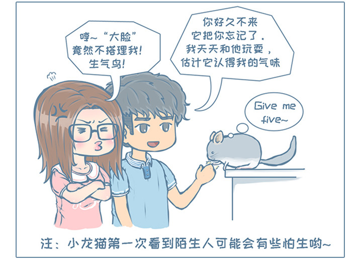 我家有只小龙猫 第4个小故事集合 第12页