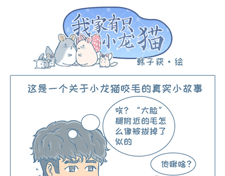 我家有只小龙猫 第4个小故事集合 第13页