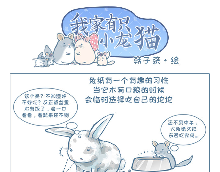 我家有只小龙猫 第4个小故事集合 第19页