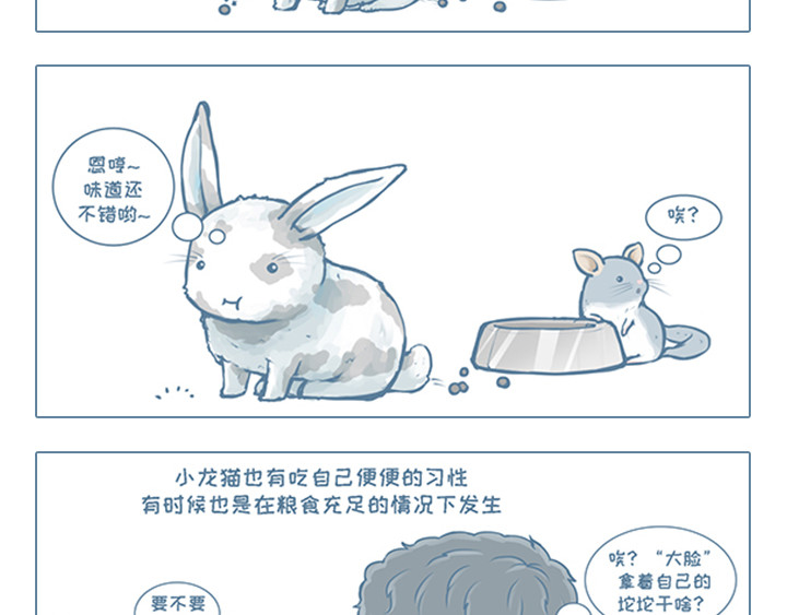 我家有只小龙猫 第4个小故事集合 第20页