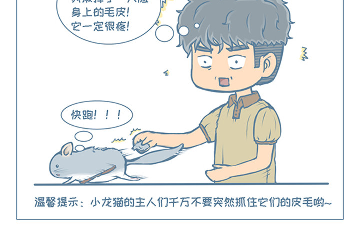 我家有只小龙猫 第5个小故事集合 第4页