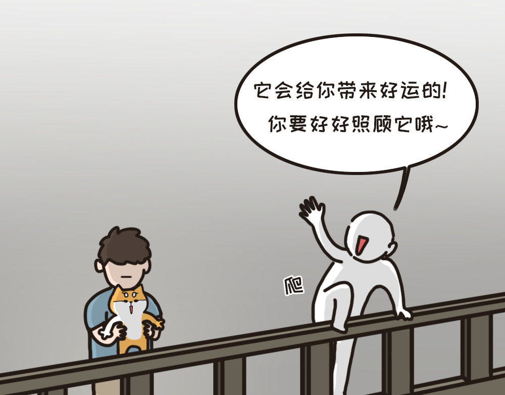非正常猫狗图鉴 第二话 第16页