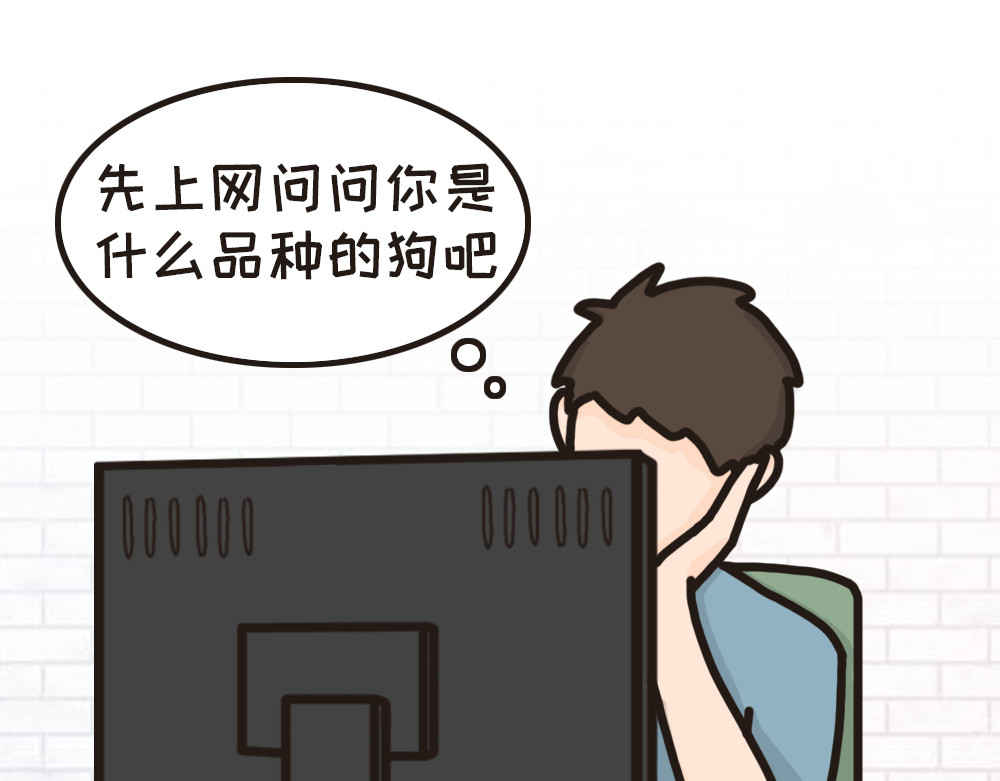 非正常猫狗图鉴 第二话 第26页
