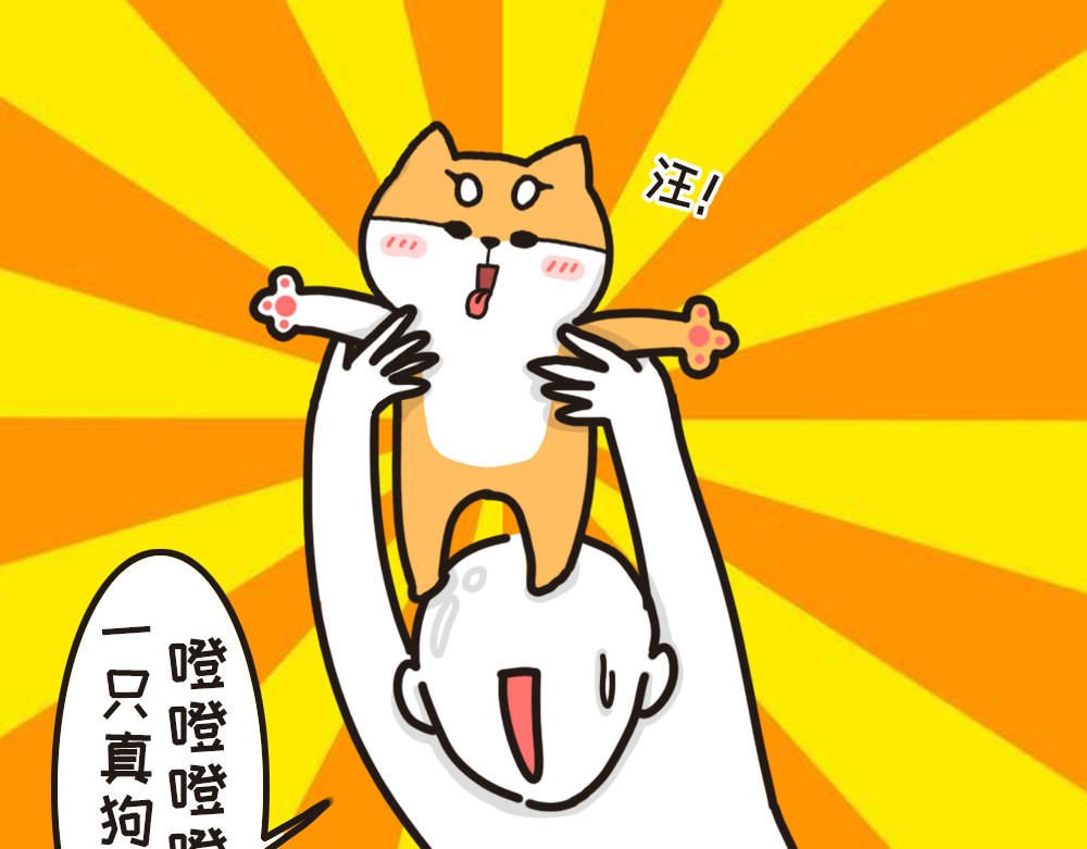非正常猫狗图鉴 第二话 第10页