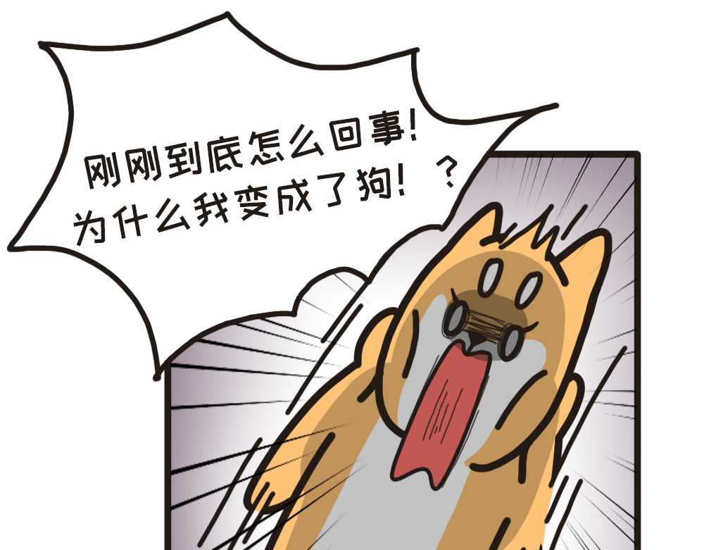 非正常猫狗图鉴 第四话 第36页