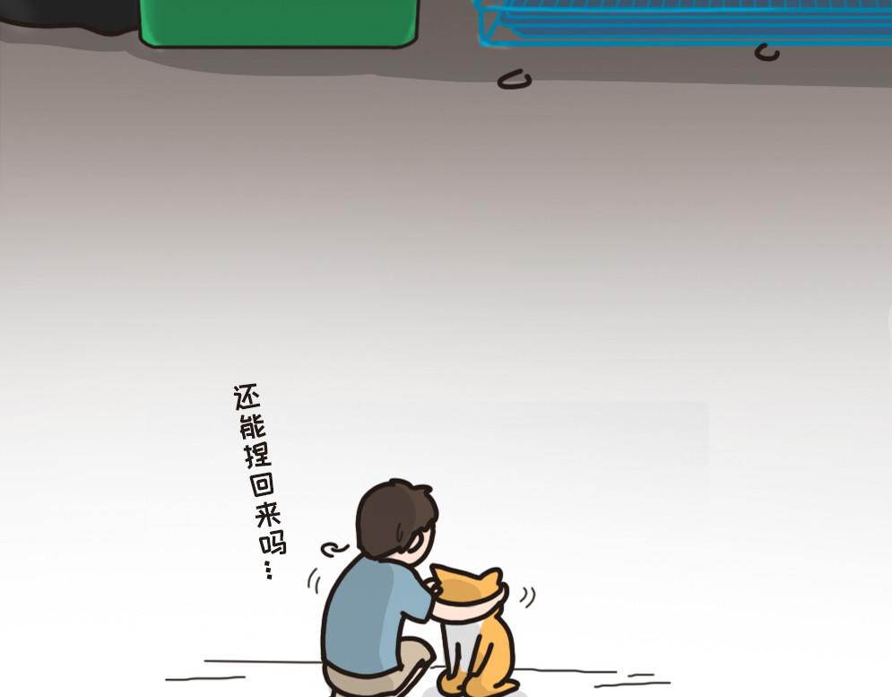 非正常猫狗图鉴 第三话 第14页