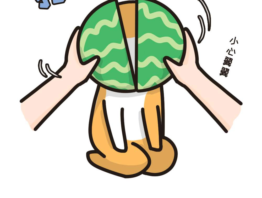 非正常猫狗图鉴 第三话 第27页
