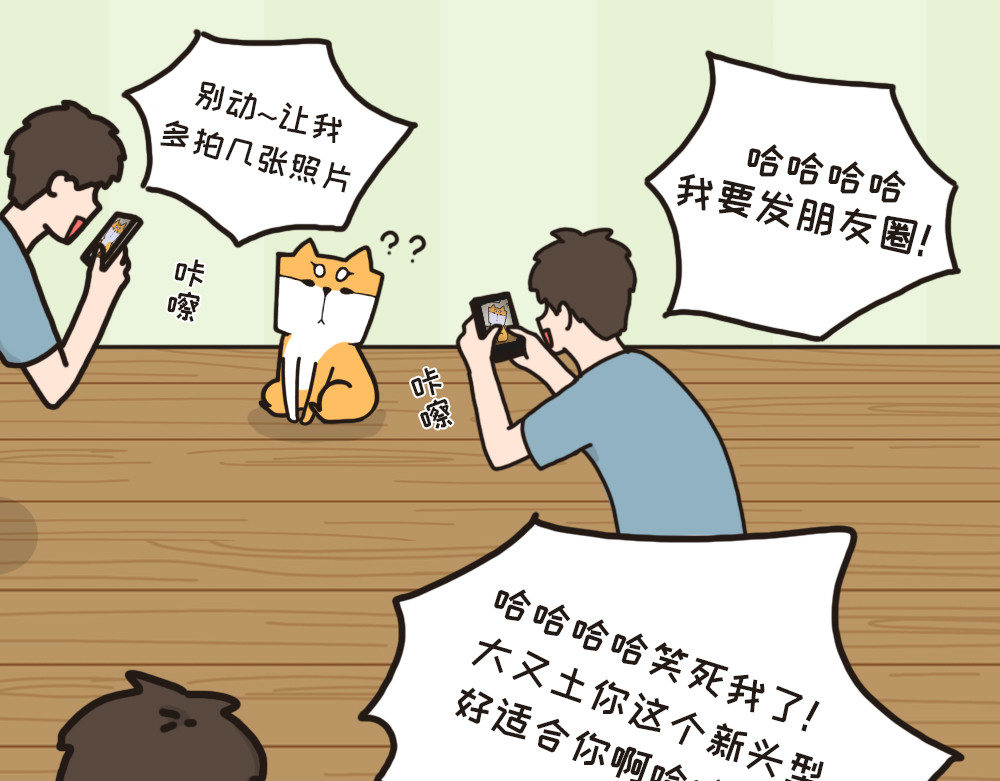 非正常猫狗图鉴 第五话 第42页