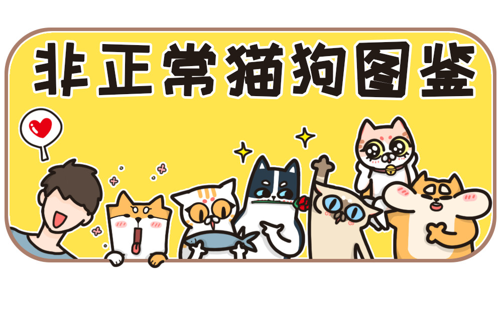 非正常猫狗图鉴 第六话 第21页