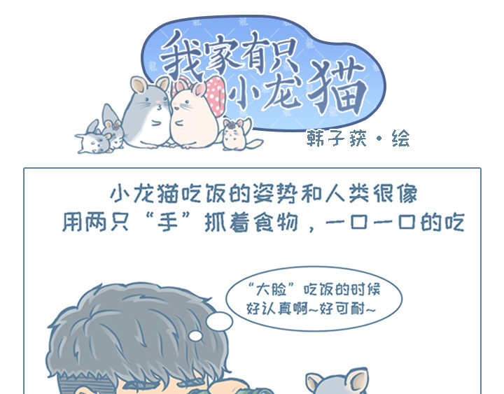我家有只小龙猫 第6个小故事集合 第1页