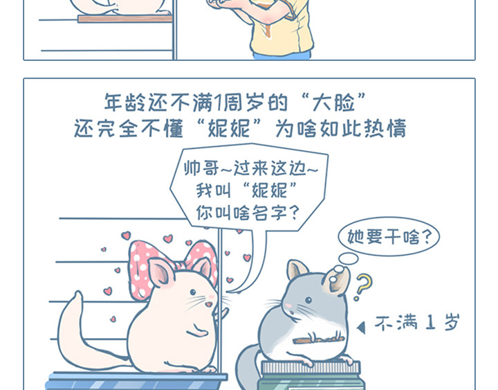 我家有只小龙猫 第6个小故事集合 第22页