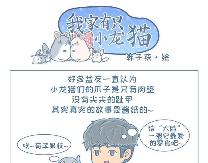 我家有只小龙猫 第6个小故事集合 第5页