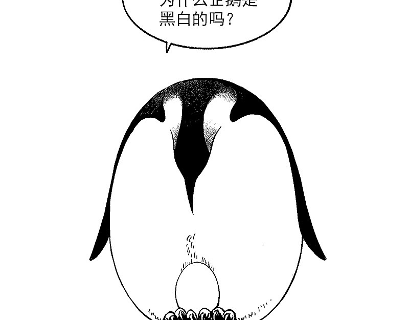 快把动物放进冰箱 第7页