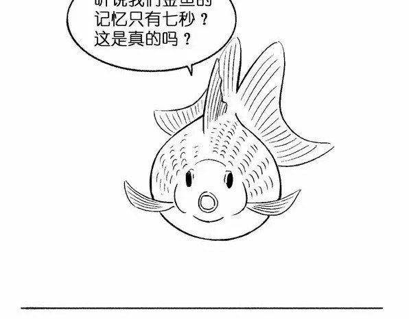 快把动物放进冰箱 004 第5页