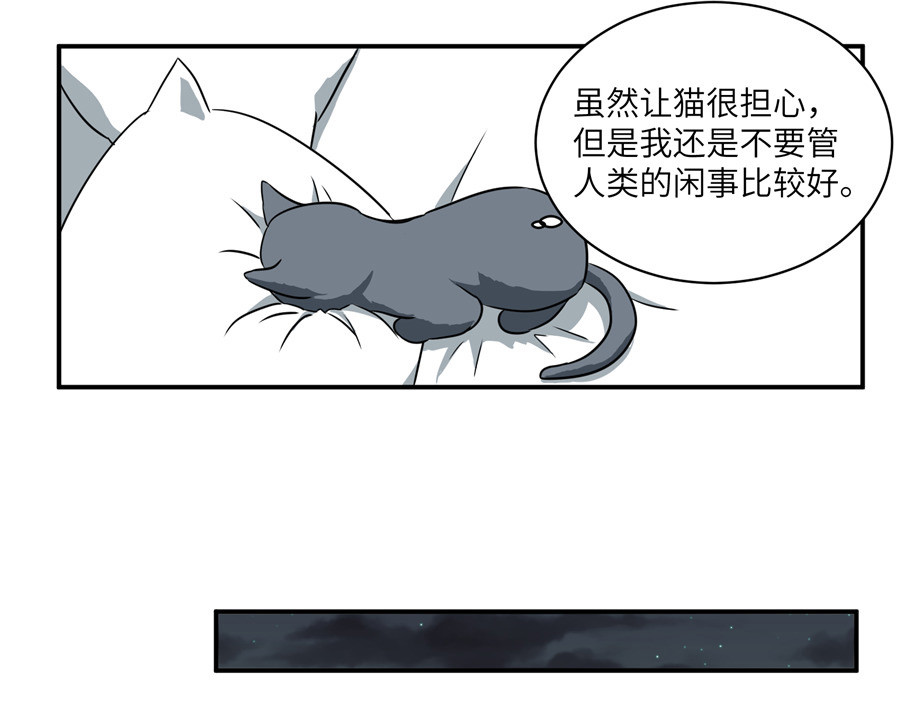 猫神是也 猫捉奸 第29页